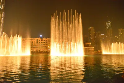 DSC_4145 (Large).JPG